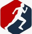 Vsport体育 Logo